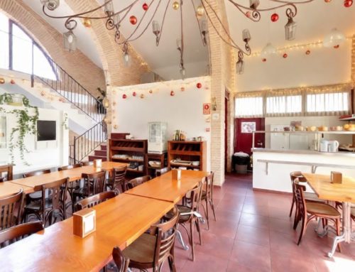 Alojamiento estudiantes Villaviciosa de Odón: Consejos para estudiar y descansar estas navidades